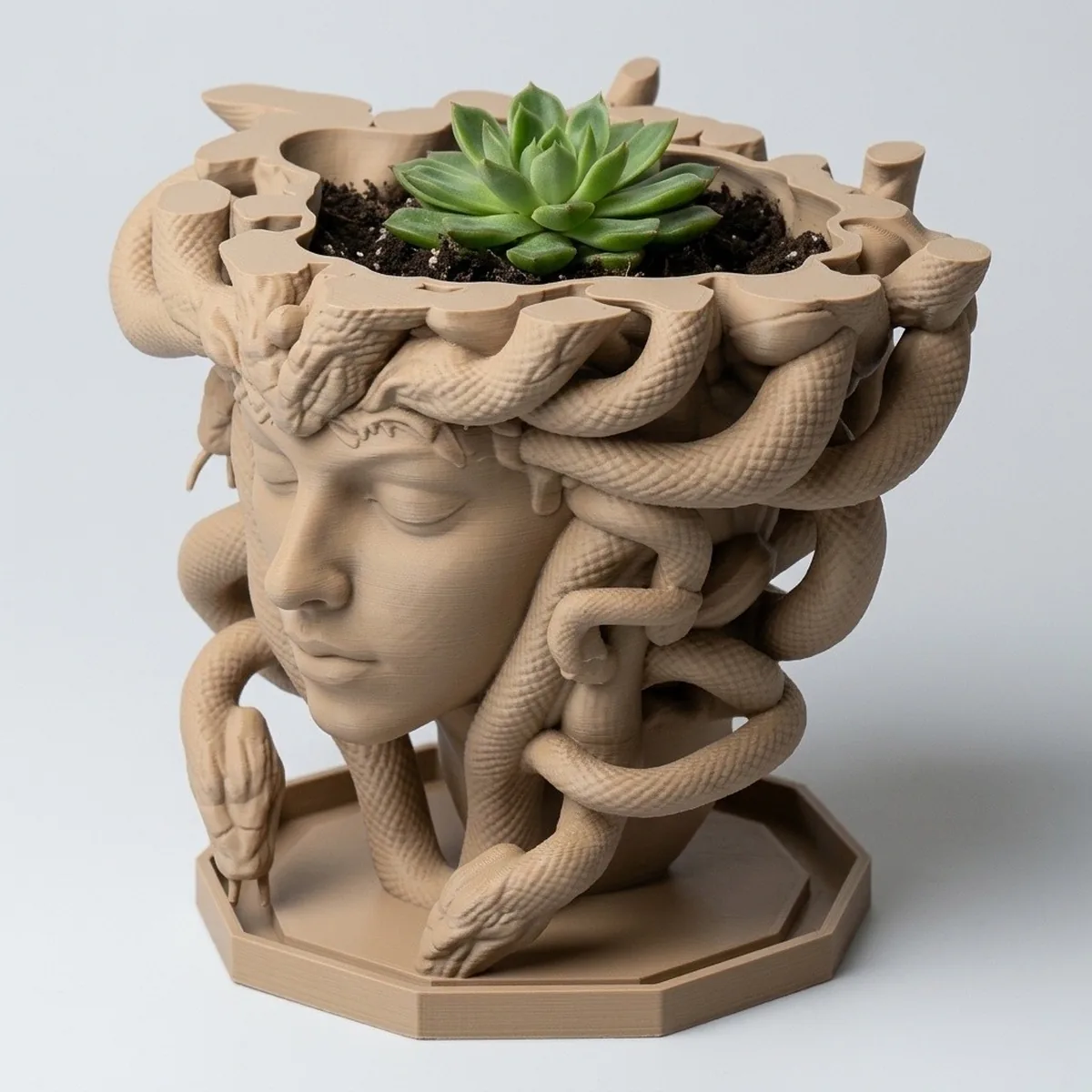 Medusa's Silence Planter