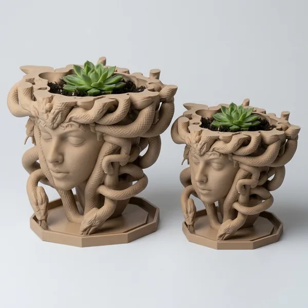 Medusa's Silence Planter photo 5