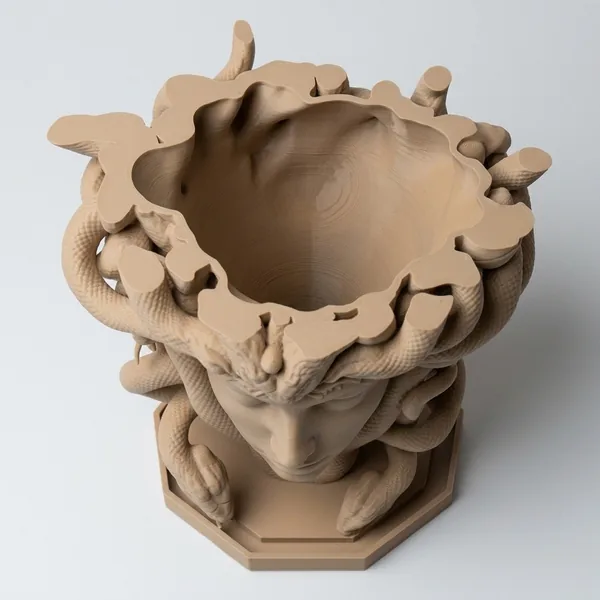 Medusa's Silence Planter photo 6