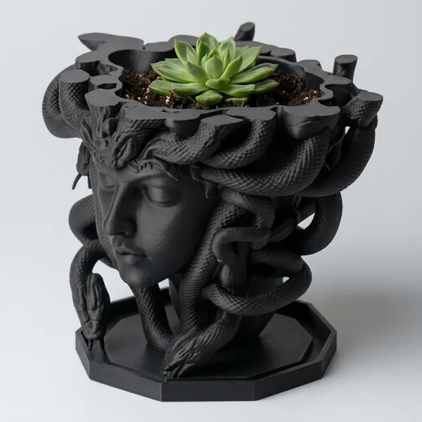 Medusa's Silence Planter photo 8