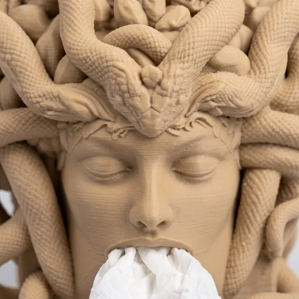 Medusa's Silence Tissue Box Holder photo 4