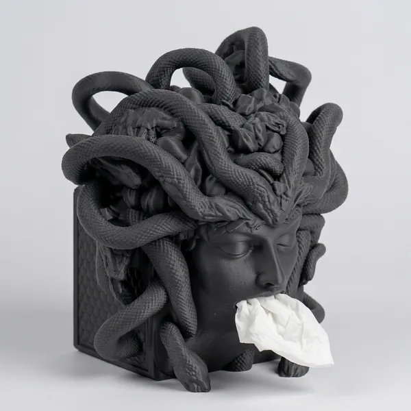 Medusa's Silence Tissue Box Holder photo 7